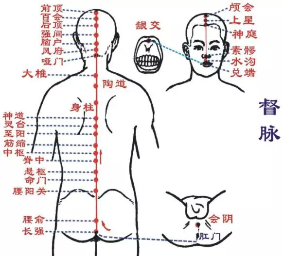 刘秀梅老师:艾灸背部这条经络,贯穿一身阳气,轻松一整年!